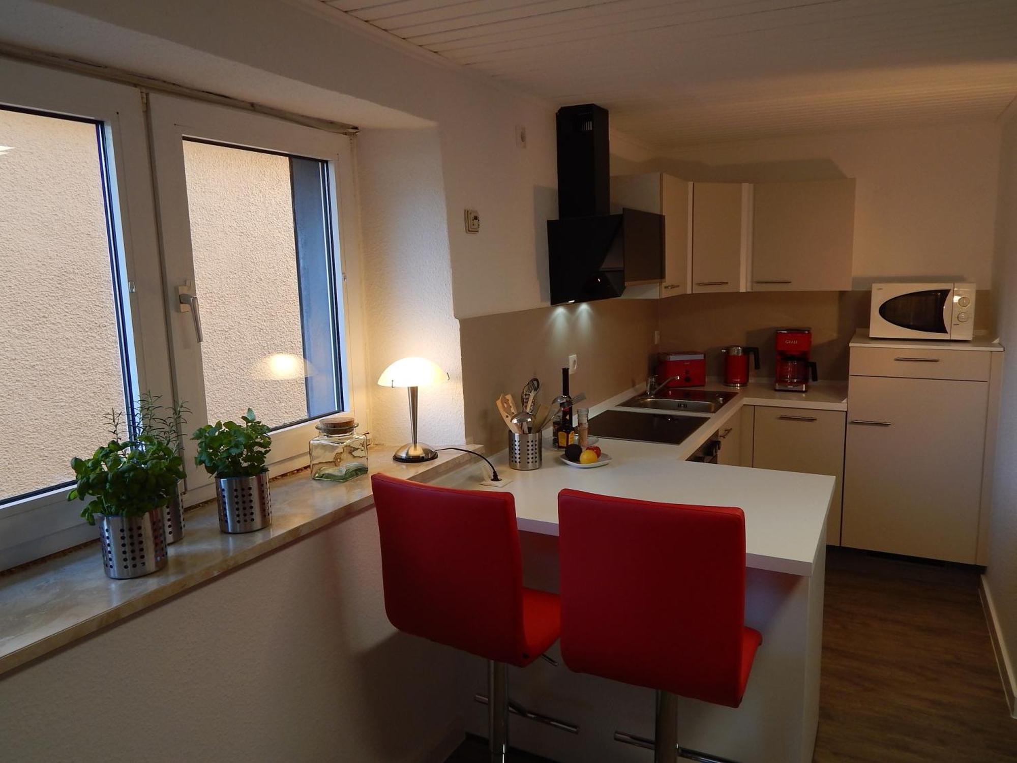 Rheinblick 1 Apartment *