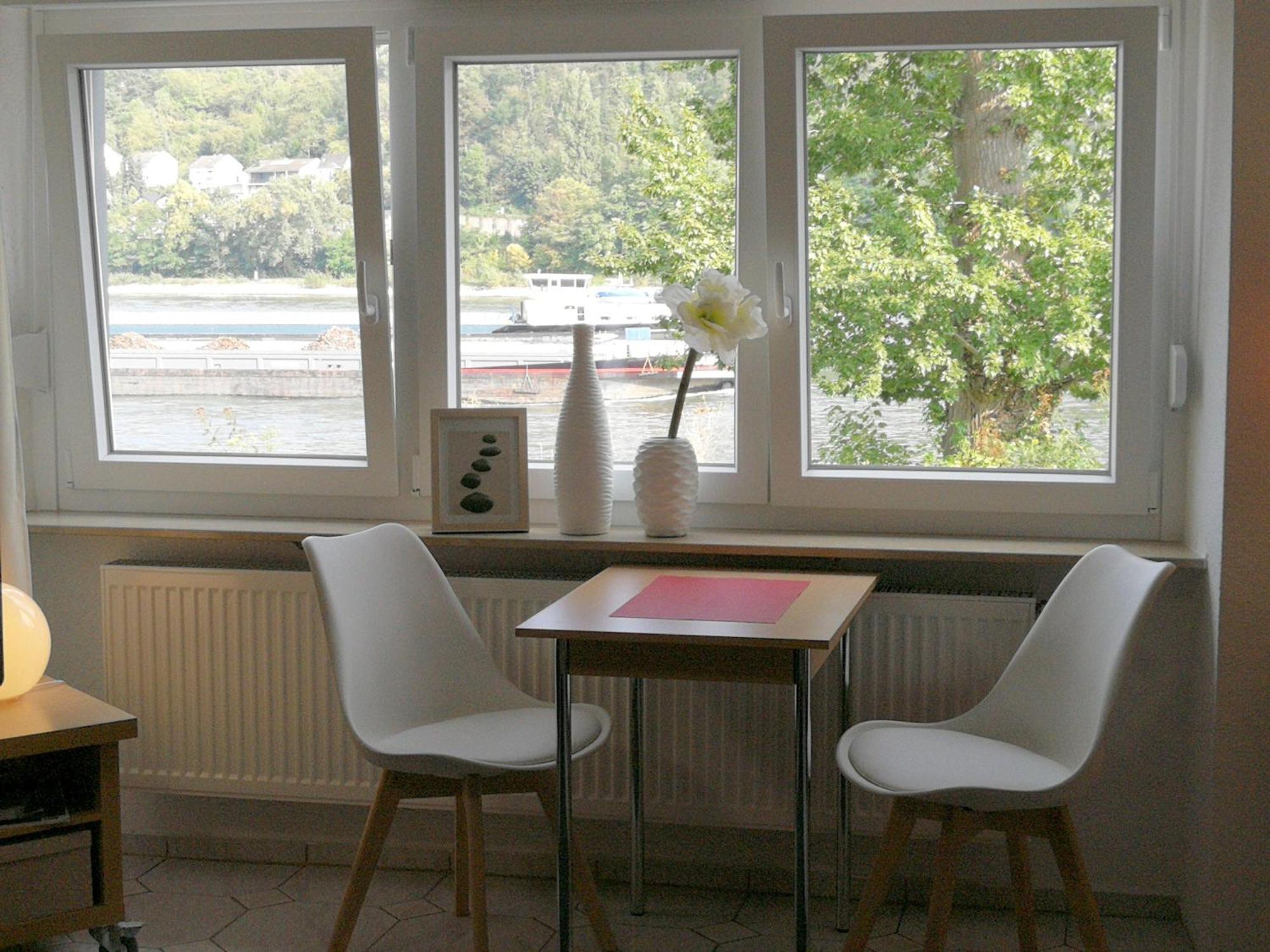 Rheinblick 1 Apartment